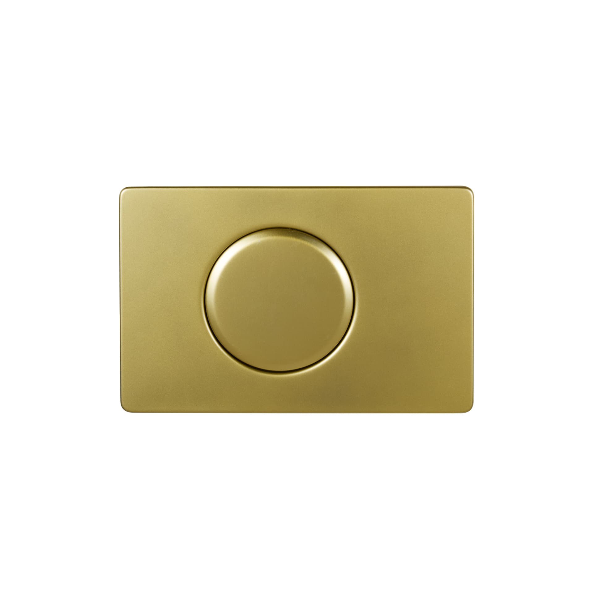 Stainless Steel Toilet Flush Panel