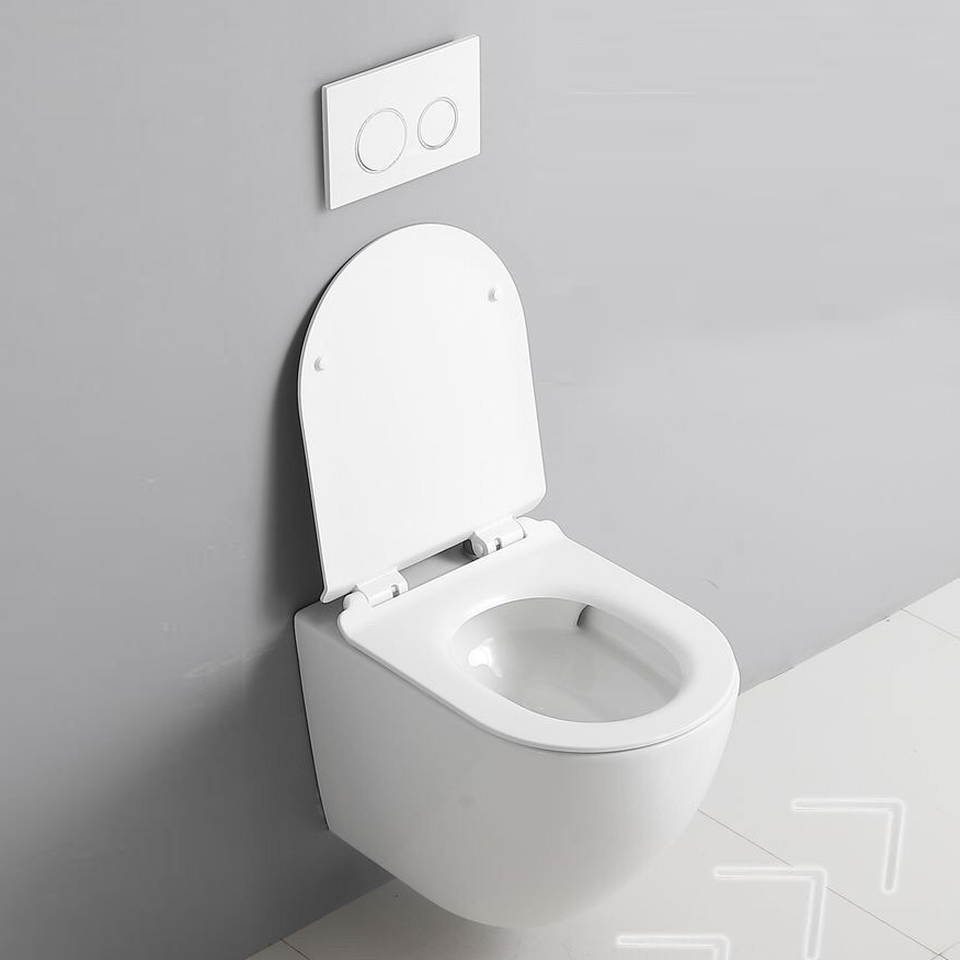 top-rated Japanese smart toilet brands with dual-flush technology